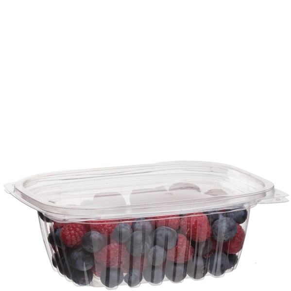 12 OZ COMPOSTABLE DELI CONTAINER CLEAR RECTANGULAR 100CT ECO