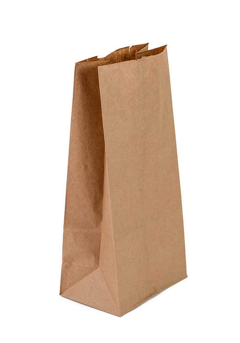99-01047 #6 BROWN PAPER BAG