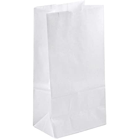 99-01046 #5 WHITE PAPER BAG