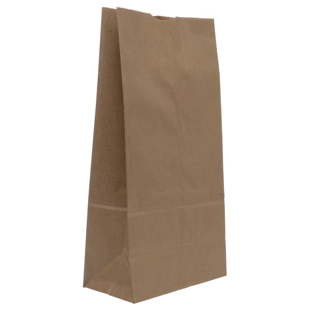 99-01049 #8 BROWN PAPER BAG