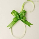 Green Leaf Pull Bow
