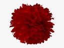 2CT RED POM POM 12"